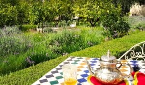 Read more about the article Jardim Secreto em Marraquexe 2025: Guia Completo