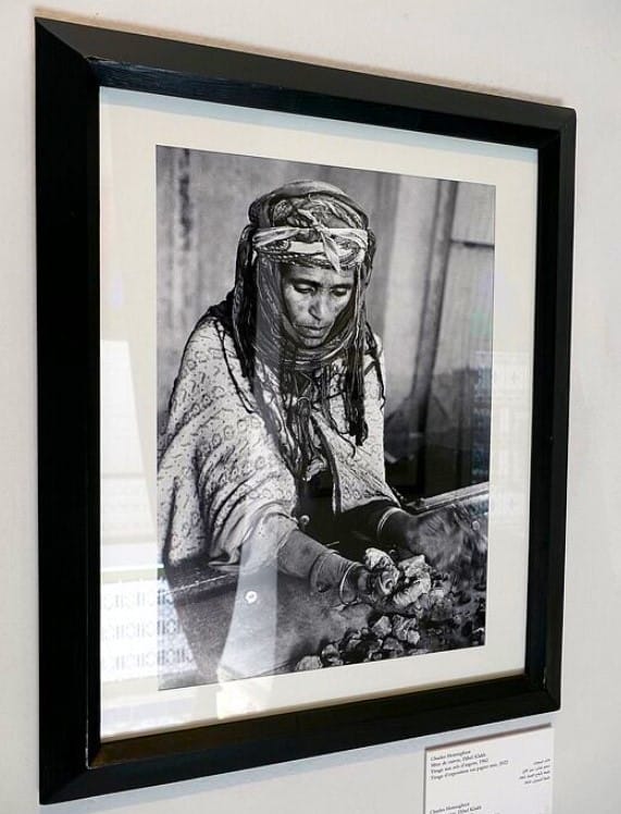 Museu da Fotografia
