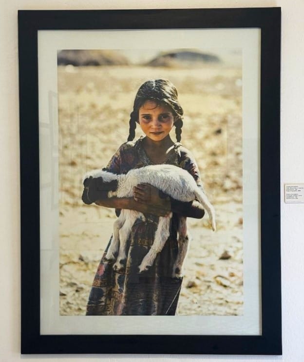 Museu da Fotografia