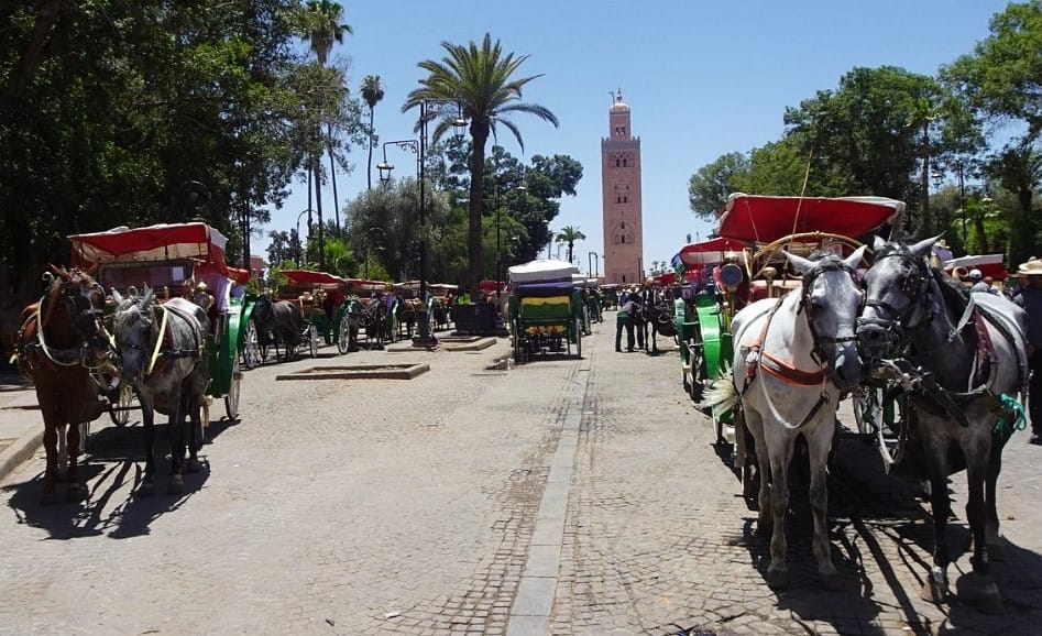 Charretes na Praça Jemaa el-Fna - Medina de Marraquexe